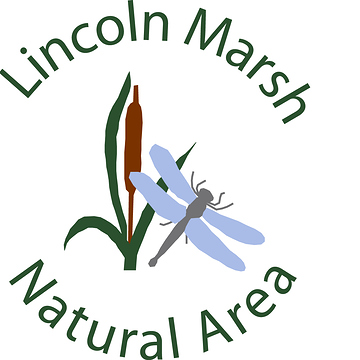 LincolnMarsh